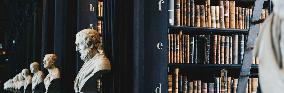 Rows of bound law reports on library shelves